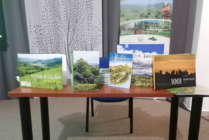 Term�szeti kincseink nyom�ban